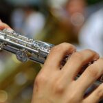 Deutsche Gesellschaft für Flöte Mitglied im Deutschen Musikrat